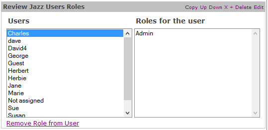 Figure 1: Review Jazz Users Roles